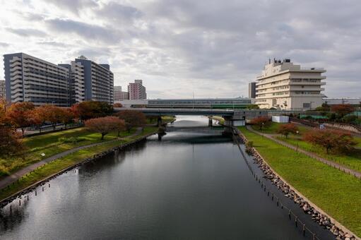 大島小松川公園　2025年 大島小松川公園,江戸川区,東大島の写真素材