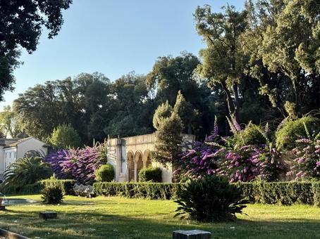 ローマの公園  ローマの公園  海外,建物,景色の写真素材