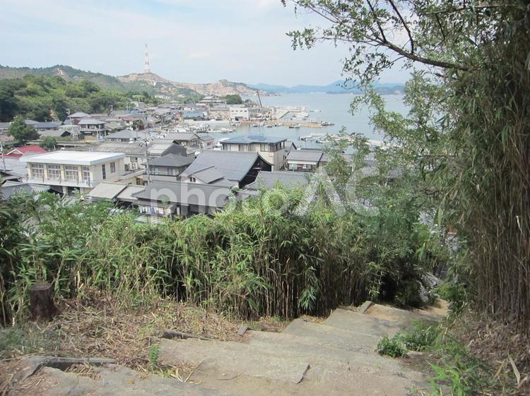 直島の高台からの風景 木,住宅,田舎の写真素材