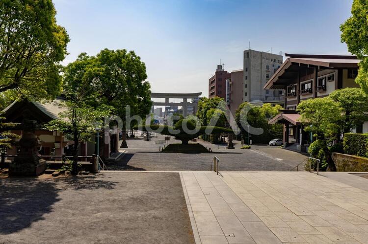 照国神社の風景 照国神社,照国,鹿児島の写真素材