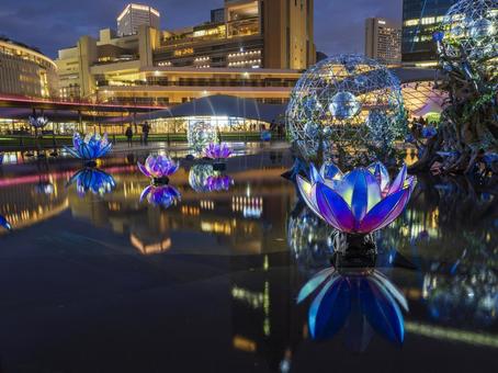 水面に咲く光の花園 水面に咲く光の花園 イルミネーション,夜景,ライトアップの写真素材