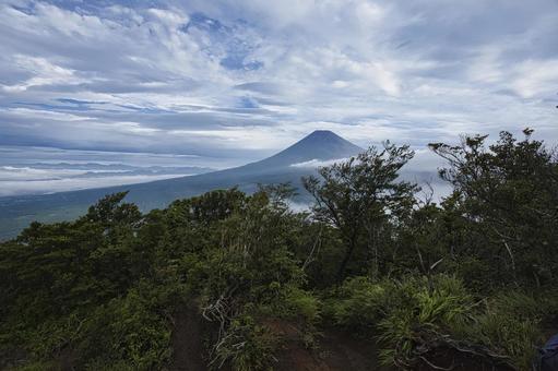 越前岳から望む、朝霧に煙る富士山の写真