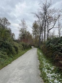 北米の遊歩道の写真