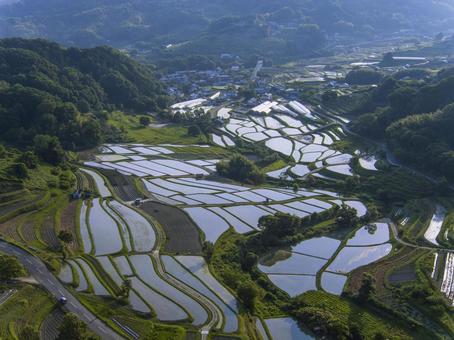 奈良県明日香村稲渕の棚田 棚田,稲渕,空撮の写真素材