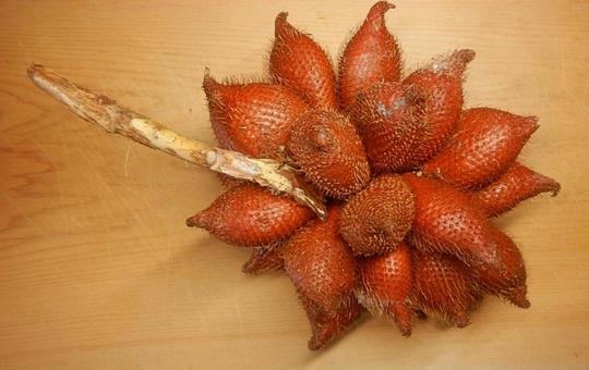 Salaka palm fruit, JPG