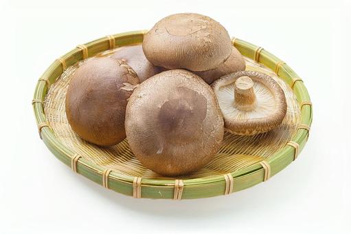 しいたけ(カゴ入り) しいたけ(カゴ入り)の写真