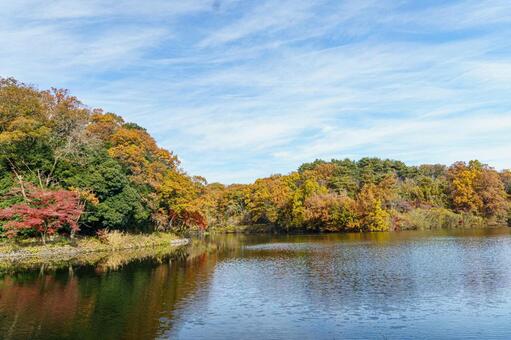 紅葉に染まる秋の空と湖 紅葉,秋,風景の写真素材