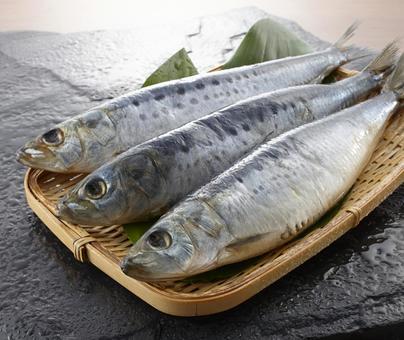 塩いわし ざる盛り 塩いわし ざる盛りの写真