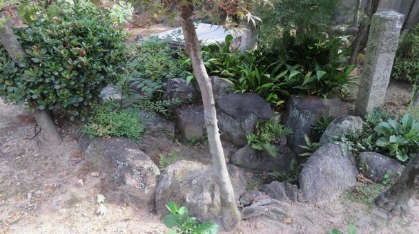 源頼朝 生誕地 誓願寺の風景 産湯 源頼朝 生誕地 誓願寺の風景 産湯 源頼朝,生誕地,誕生地の写真素材