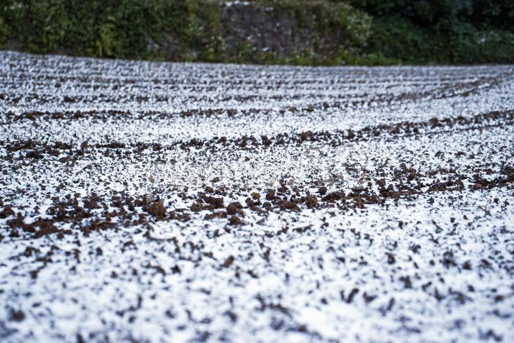 ＜五島の風景＞雪の日の畑の景色 風景,空,雪の写真素材