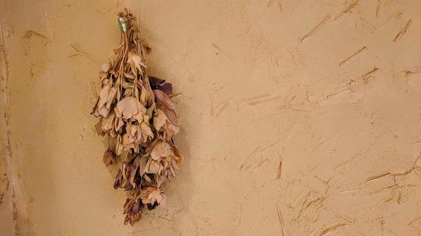 Photo, dried flower, plaster wall, background, 