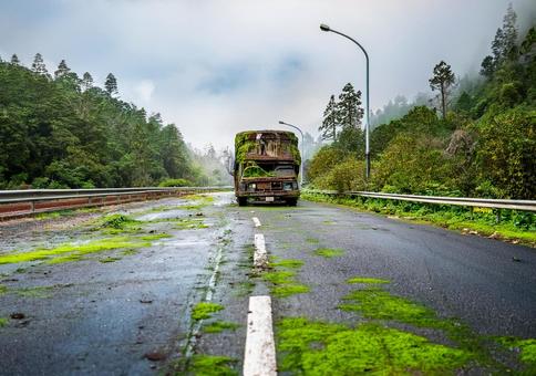 苔むす高速道路と朽ちたバス 苔むす高速道路と朽ちたバスの写真