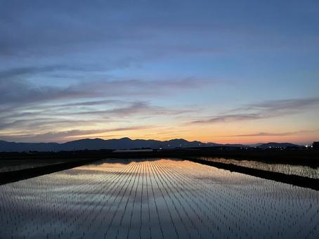 夕焼け 夕焼け 夕焼け,空,田んぼの写真素材