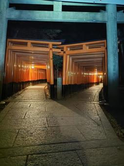赤鳥居 赤鳥居 鳥居,伏見稲荷,神社の写真素材