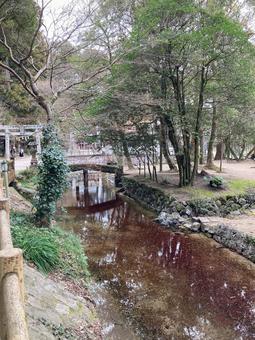 別府弁天池 別府弁天池 別府弁天池,池,絶景の写真素材
