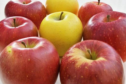 4種のリンゴ集合写真① リンゴ,りんご,果物の写真素材