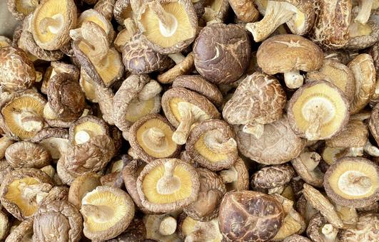 たくさんの干しシイタケの山　乾物 干しシイタケ,乾燥シイタケ,椎茸の写真素材