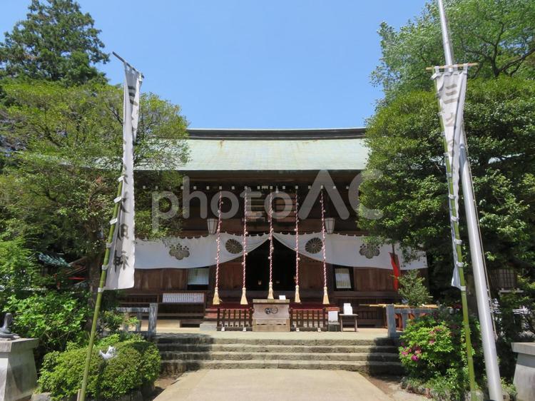 伊勢原市三之宮比々多神社 三之宮比々多神社,比々多神社,神社の写真素材