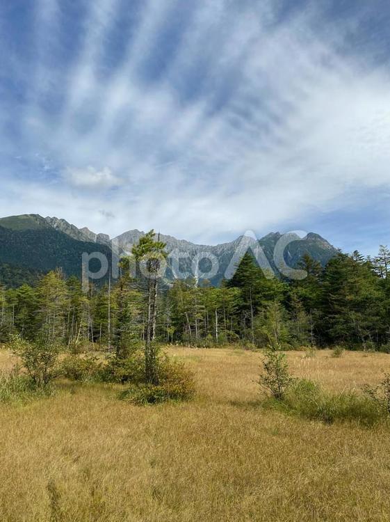 上高地 景色,空,草の写真素材