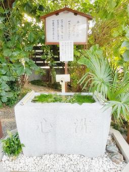 東京都杉並区にある猿田彦神社の御手水 東京都杉並区にある猿田彦神社の御手水の写真