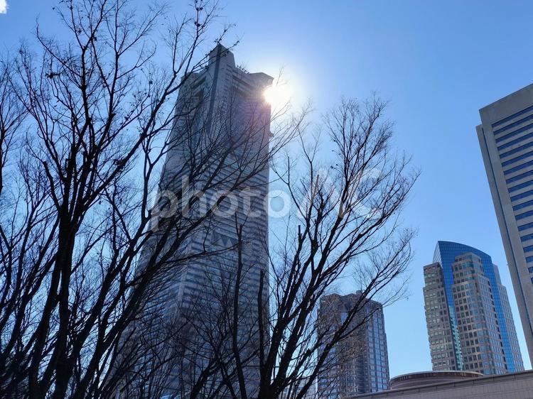 横浜の風景 ランドマークタワー,日差し,横浜の写真素材