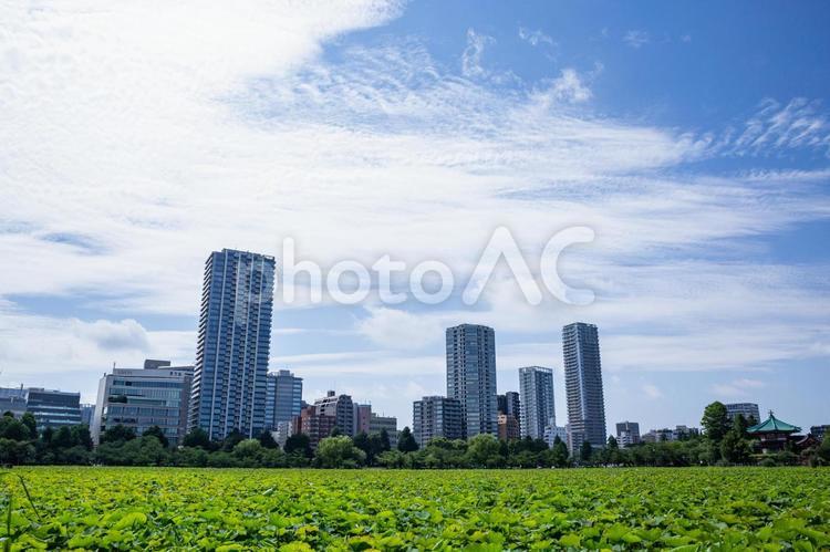 都会の風景3 街,町,ビルの写真素材