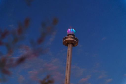 夕方の富士見展望塔 富士見展望塔,西武ゆうえんち,多摩湖の写真素材