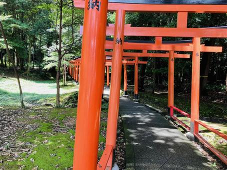 Photo, kashihara shrine, kashihara city, nara prefecture, a shrine, 