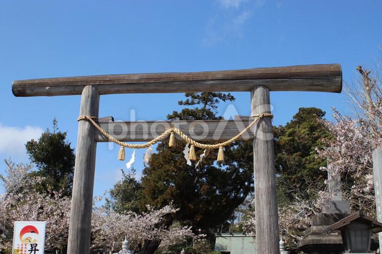 鎌数伊勢大神宮 鎌数伊勢大神宮,神社,鳥居の写真素材
