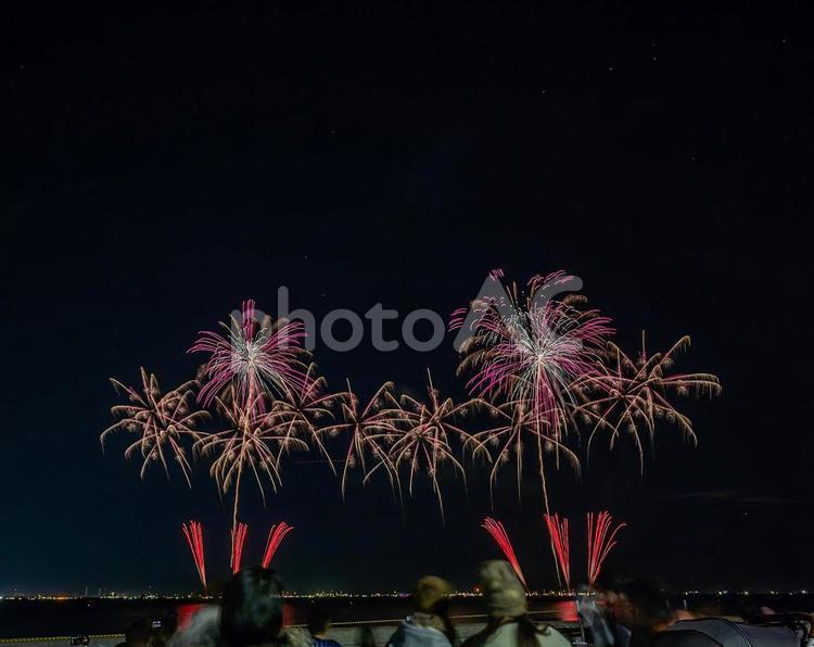 習志野花火大会（1日目） 習志野花火大会,花火,fireworksの写真素材