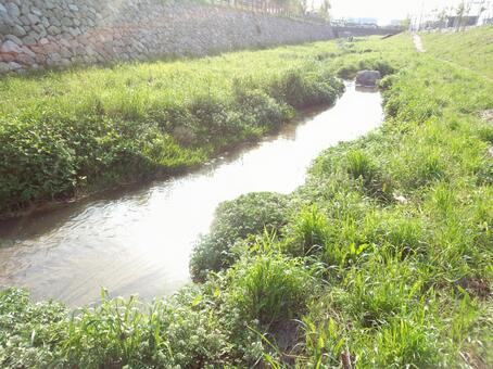 新緑と小川~初夏の日差し~ 新緑と小川~初夏の日差し~の写真