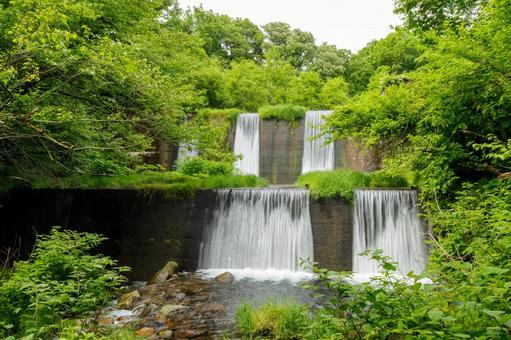 新緑の木谷沢渓流 新緑の木谷沢渓流 リラックス,木,水の写真素材