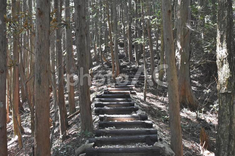 山頂へ続く階段 ハイキング,何人もありません,公園の写真素材