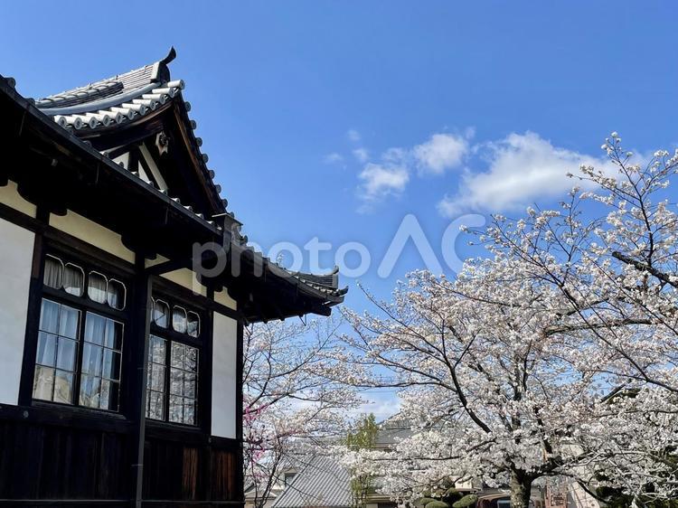 奈良　桜が映り込む窓 今井まちなみ交流センター華甍,から,窓の写真素材