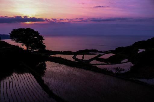 棚田 棚田の写真