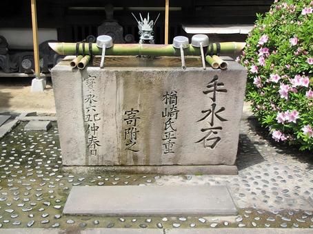 Photo, daizenji, jodo sect, shrines and temples, 