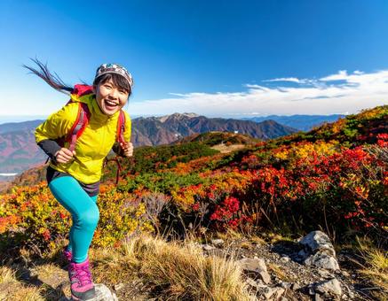 カラフルな登山ウェアで秋の山登る山ガールの写真