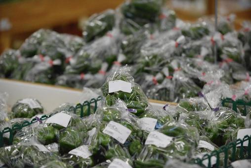 ピーマン ピーマン 農産物,イメージ,素材の写真素材