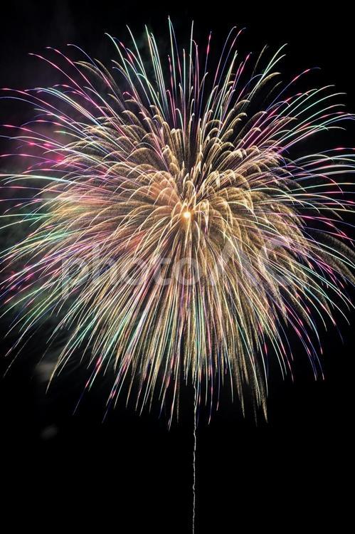 花火 はなび,夏,なつの写真素材