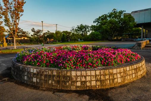 【佐賀】佐賀県立博物間・佐賀県立美術館 佐賀,風景,自然の写真素材