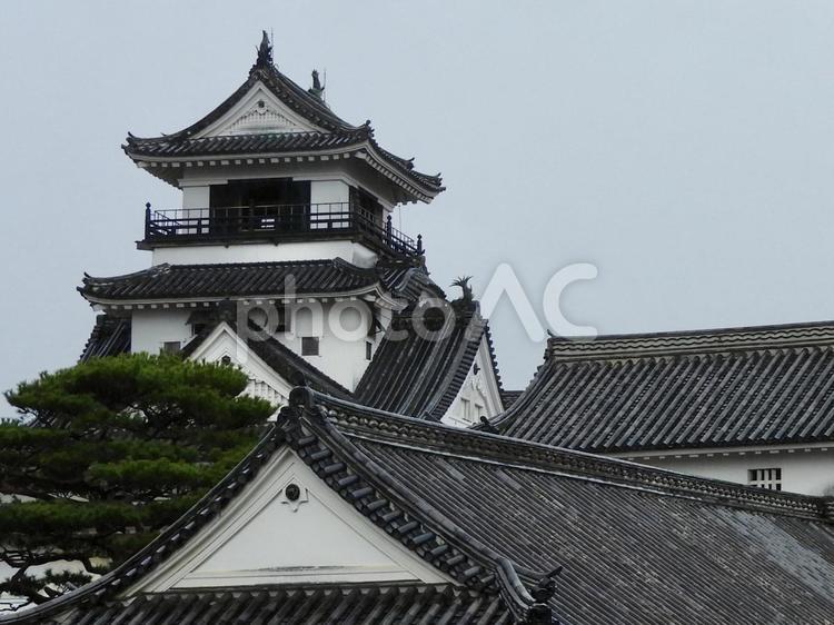 曇天の高知城天守と本丸建造物群 高知城,城,城郭の写真素材