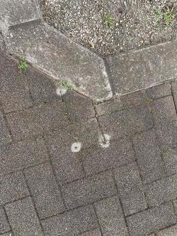 Photo, sidewalk, road, there, 