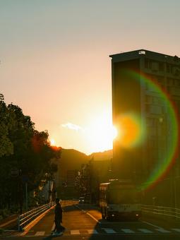 フレア フレア フレア,影,光の輪の写真素材