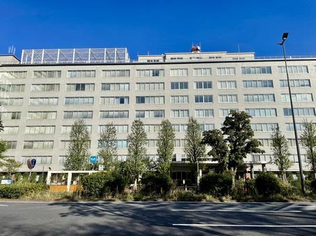 中央合同庁舎第1号館正面 中央合同庁舎第1号館正面 農林水産省,水産庁,林野庁の写真素材