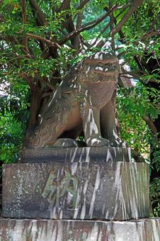 根村氷川神社(板橋) 根村氷川神社(板橋)の写真