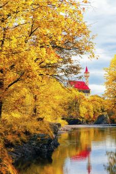 秋の滝上町の風景 滝上町,紅葉,秋の写真素材