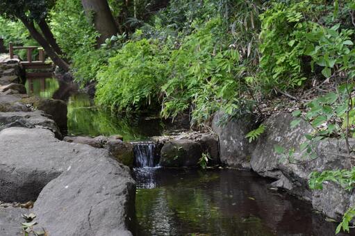 せせらぎ せせらぎ,清流,小川の写真素材