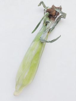 Photo, corn, vegetables, skin, 