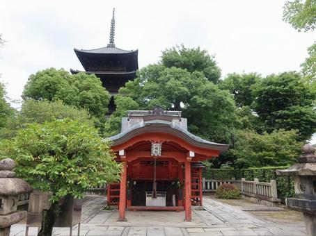 京都 東寺 八島社殿 京都 東寺 八島社殿 京都,東寺,八島社殿の写真素材