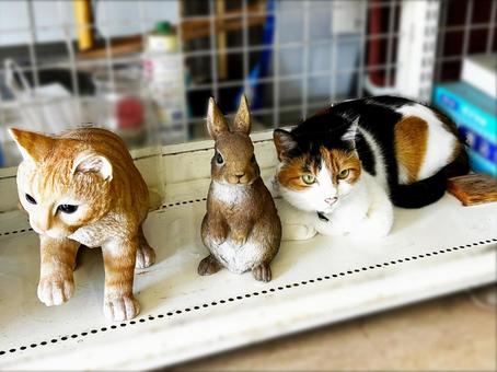 本物もいた!(ぇ 本物もいた!(ぇ 三毛猫,calico,catの写真素材